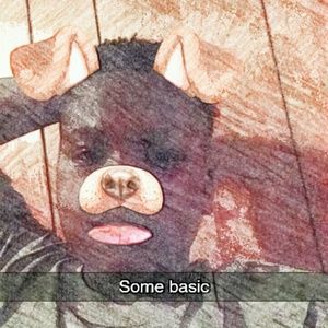 Meet your Posher, Tommy